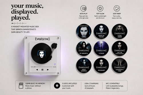 FridgeVinyl - Evanescence Vinyl
