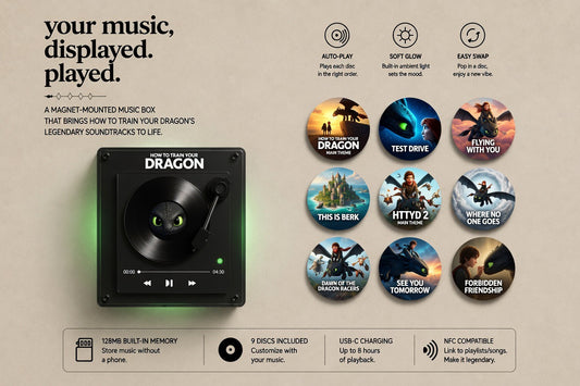 FridgeVinyl - HTTYD Vinyl